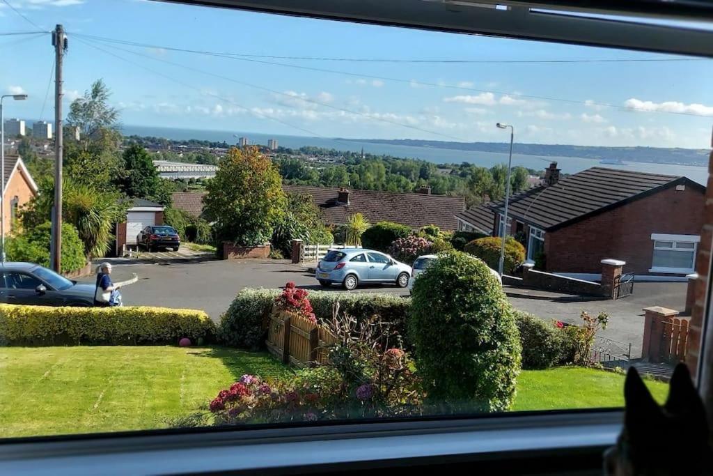 Bellevue Bungalow - Comfortable Home With Amazing Views Belfast Eksteriør bilde