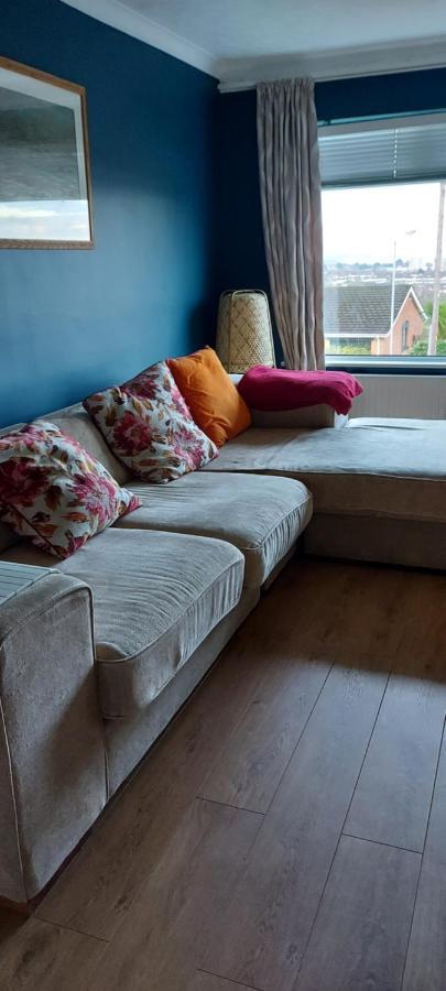 Bellevue Bungalow - Comfortable Home With Amazing Views Belfast Eksteriør bilde
