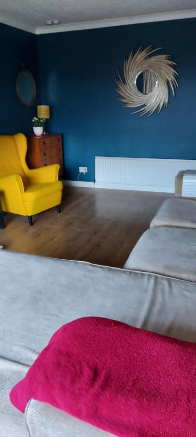 Bellevue Bungalow - Comfortable Home With Amazing Views Belfast Eksteriør bilde
