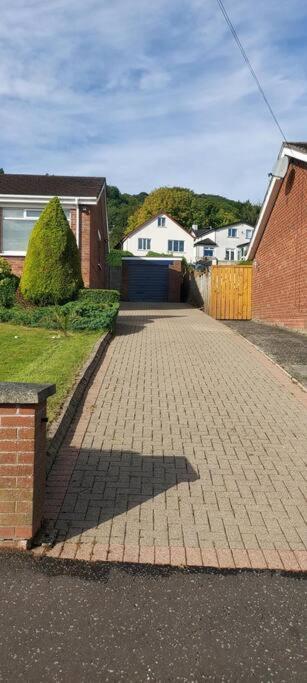 Bellevue Bungalow - Comfortable Home With Amazing Views Belfast Eksteriør bilde