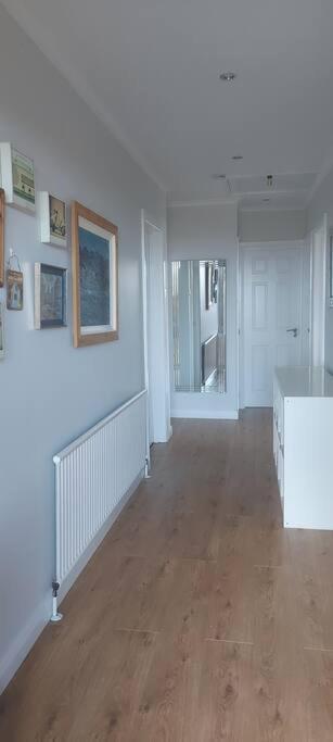 Bellevue Bungalow - Comfortable Home With Amazing Views Belfast Eksteriør bilde