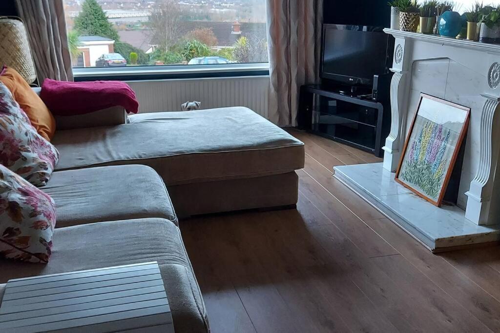 Bellevue Bungalow - Comfortable Home With Amazing Views Belfast Eksteriør bilde