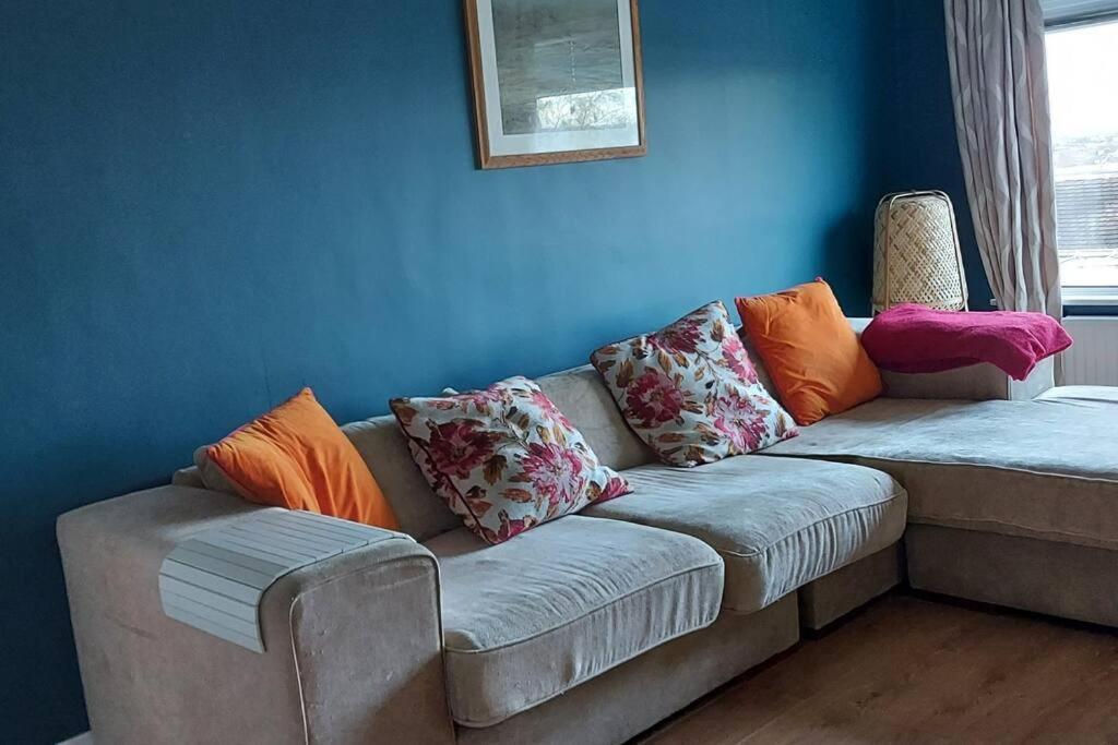 Bellevue Bungalow - Comfortable Home With Amazing Views Belfast Eksteriør bilde
