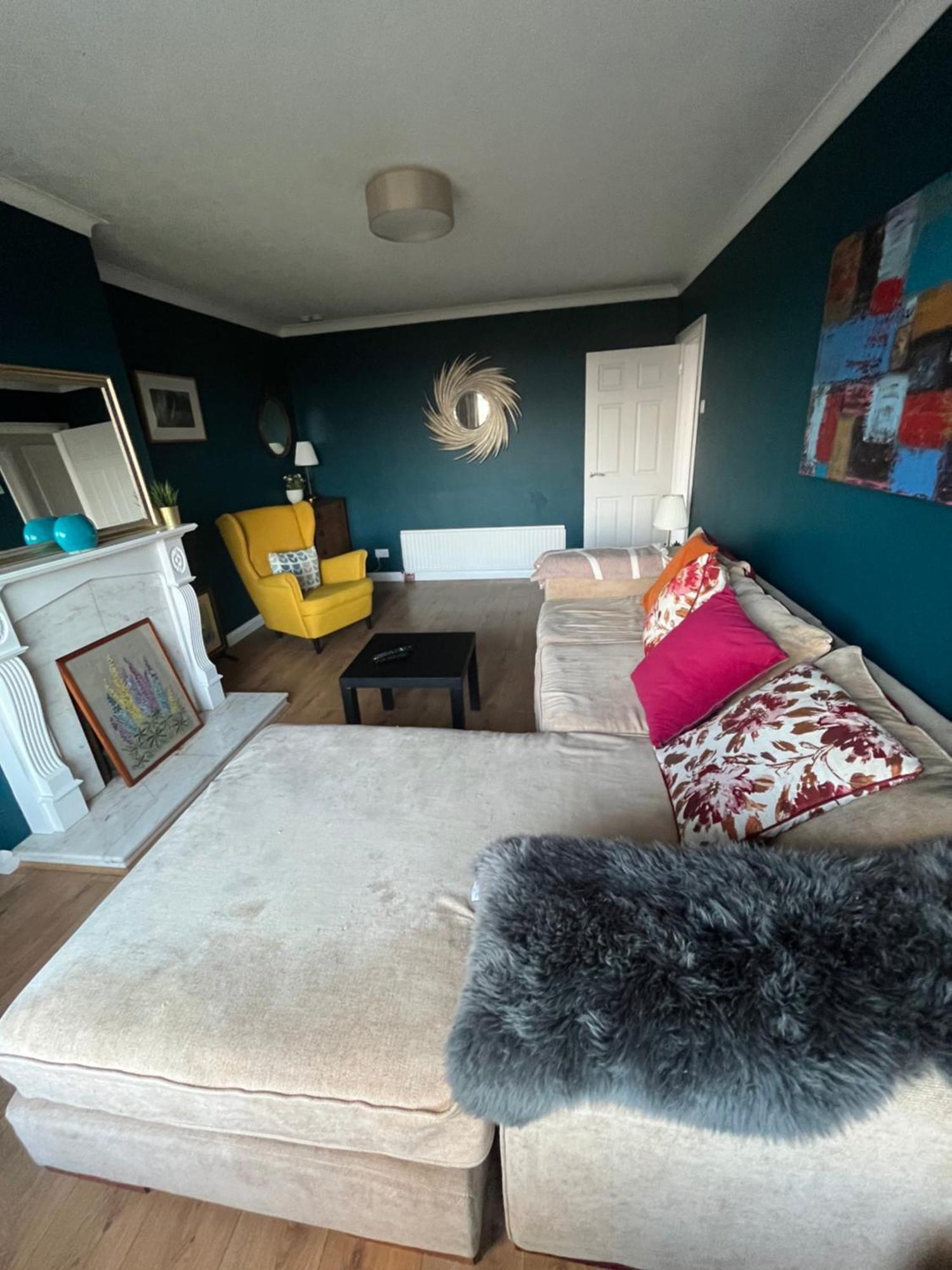 Bellevue Bungalow - Comfortable Home With Amazing Views Belfast Eksteriør bilde